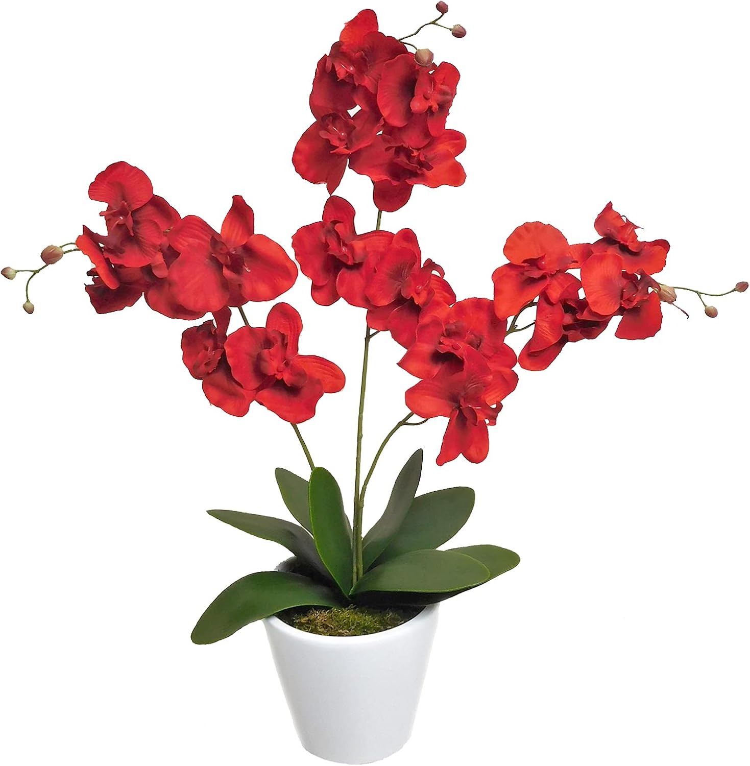 Amazon.de: Orchidee 3 Rispen Phalaenopsis Kunst-Orchidee Kunstpflanze ...